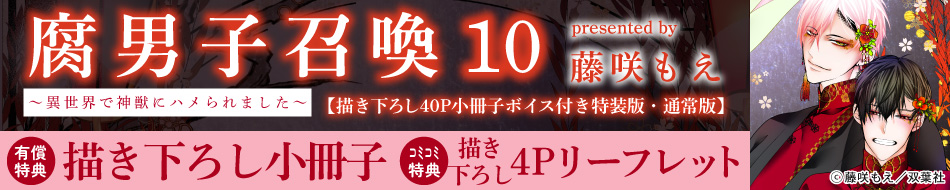 腐男子召喚～異世界で神獣にハメられました～（10）