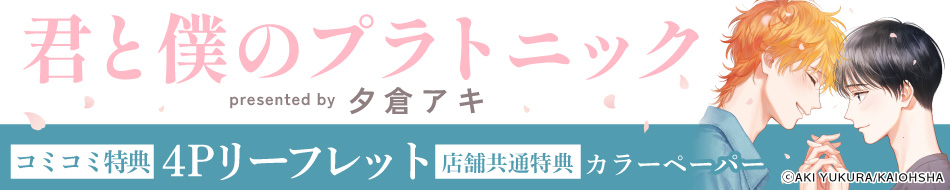 君と僕のプラトニック