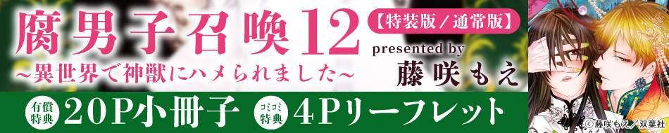 腐男子召喚～異世界で神獣にハメられました～（12）