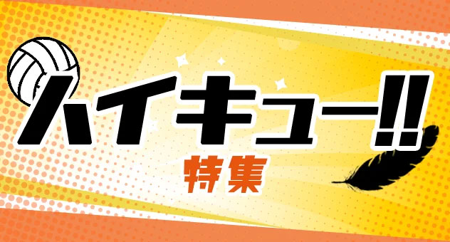 ハイキュー