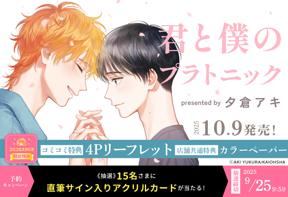 君と僕のプラトニック