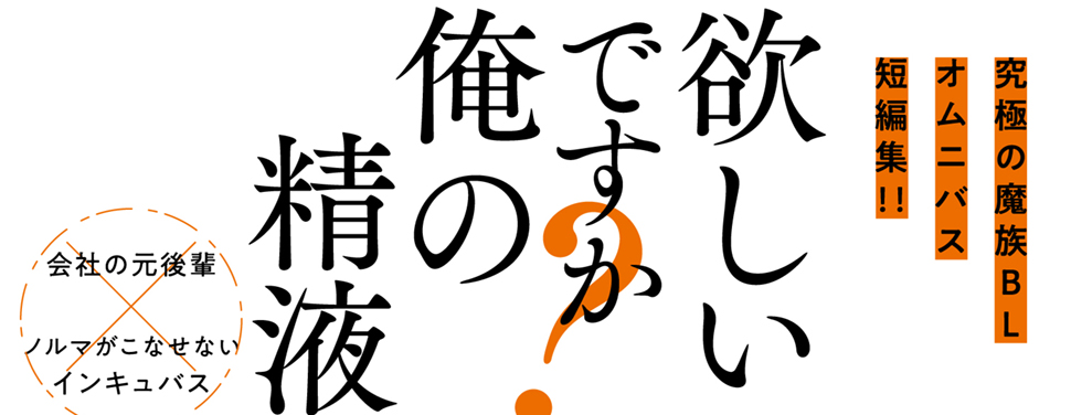 帯入れ込みイメージ