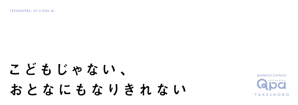 帯入れ込みイメージ