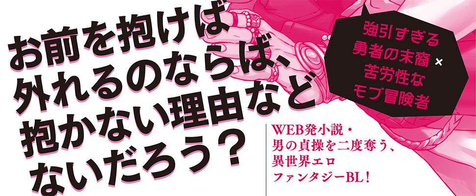 帯入れ込みイメージ