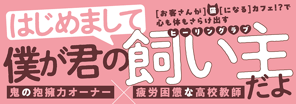 帯入れ込みイメージ
