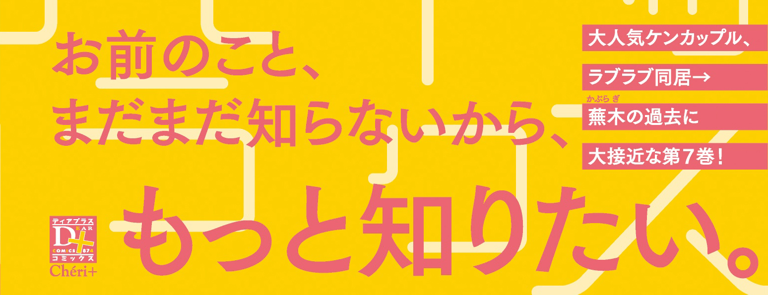 帯入れ込みイメージ