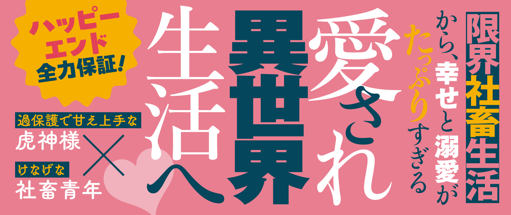 帯入れ込みイメージ