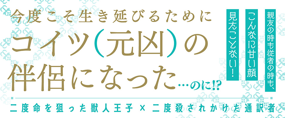 帯入れ込みイメージ