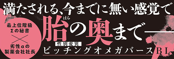 帯入れ込みイメージ