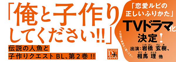 帯入れ込みイメージ