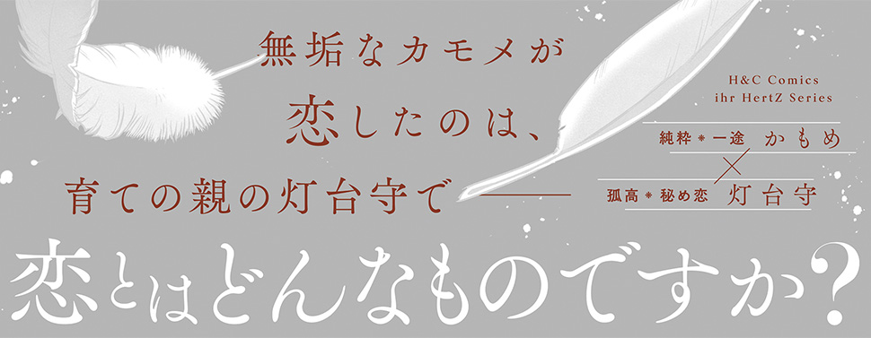 帯入れ込みイメージ