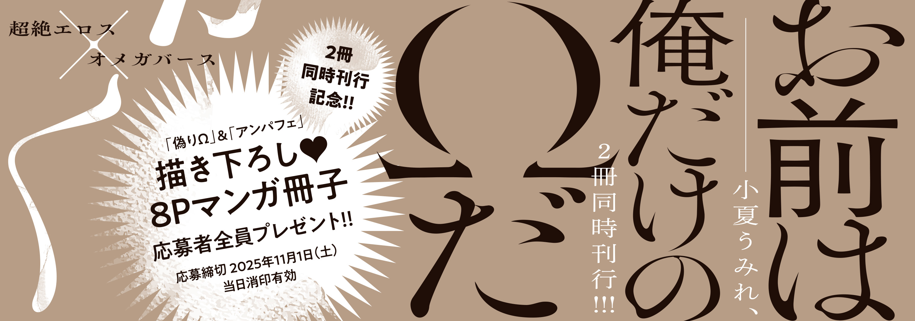 帯入れ込みイメージ