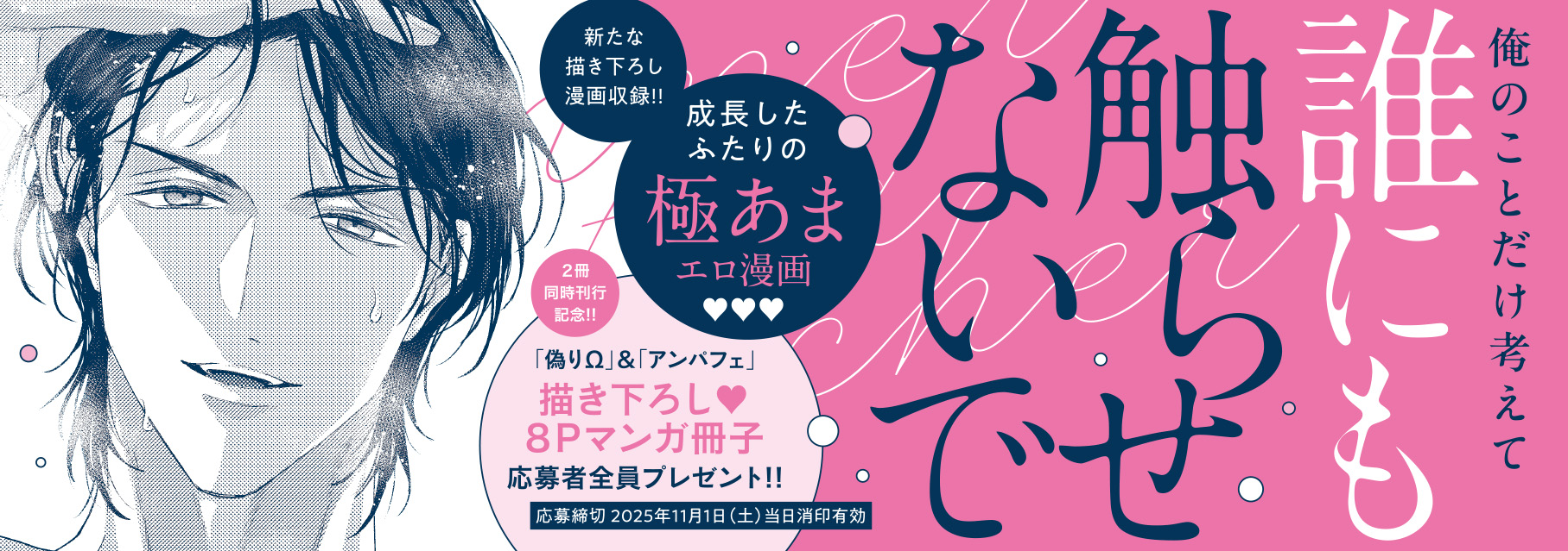 帯入れ込みイメージ