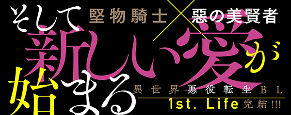 帯入れ込みイメージ
