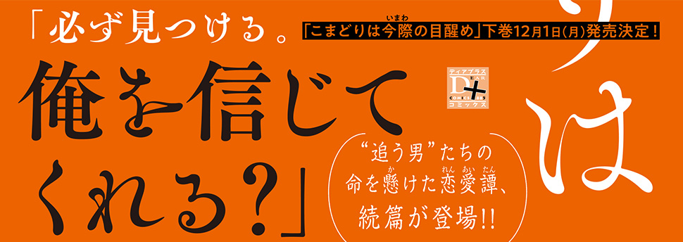 帯入れ込みイメージ