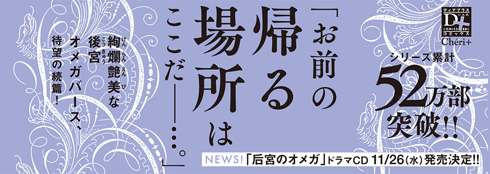 帯入れ込みイメージ