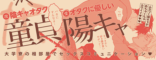 帯入れ込みイメージ