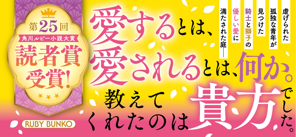 帯入れ込みイメージ