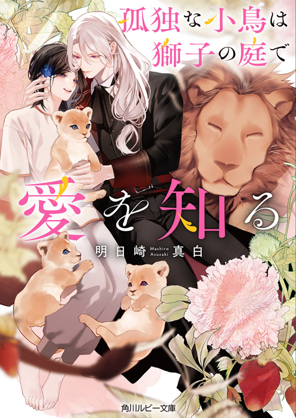 書影