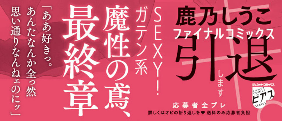 帯入れ込みイメージ