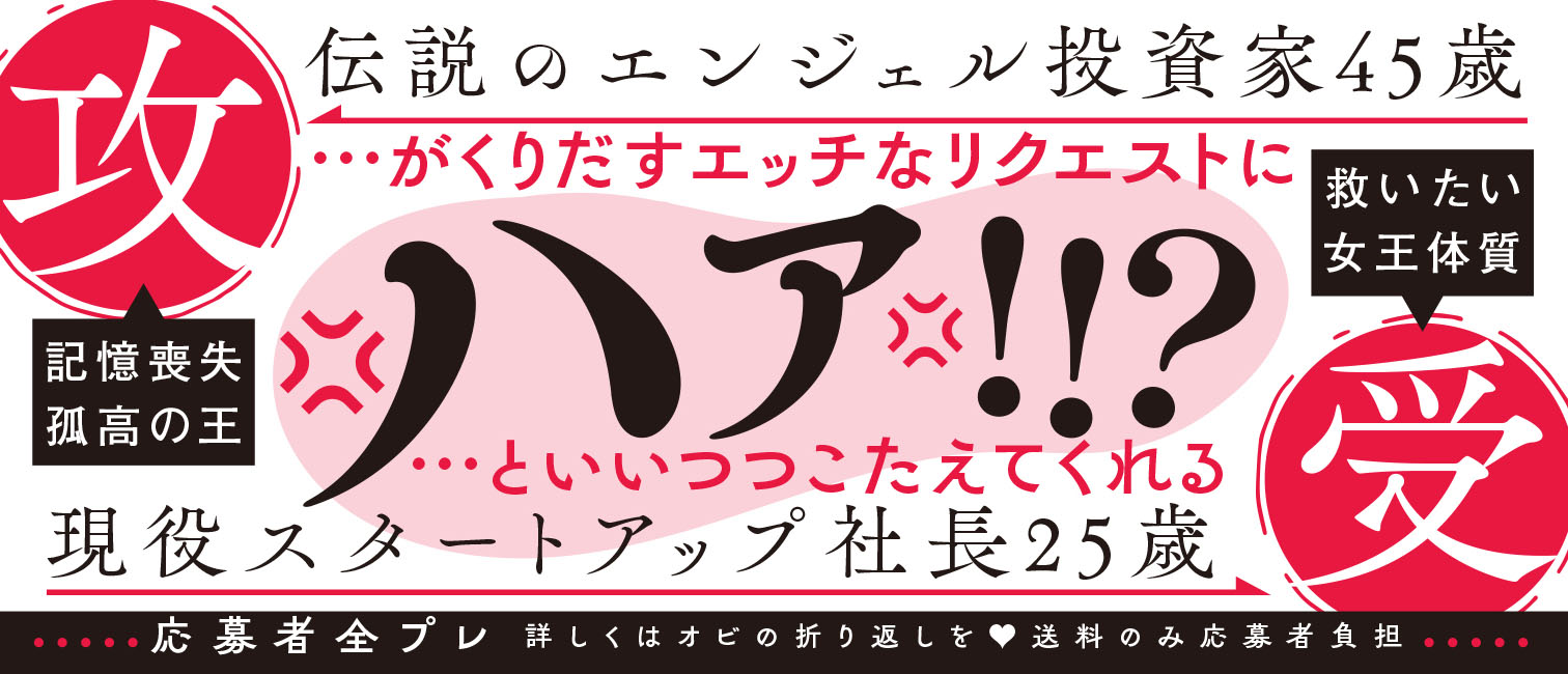 帯入れ込みイメージ