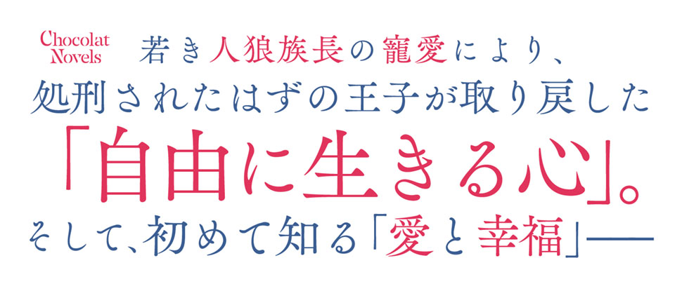 帯入れ込みイメージ