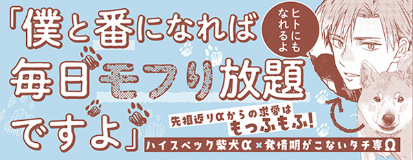 帯入れ込みイメージ