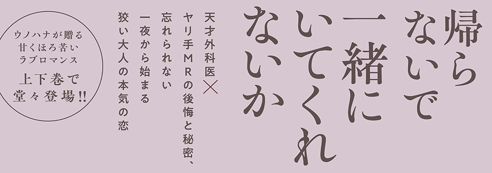 帯入れ込みイメージ