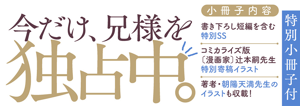 帯入れ込みイメージ