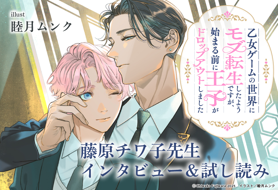 帯入れ込みイメージ