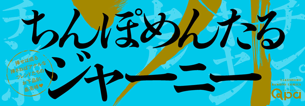 帯入れ込みイメージ