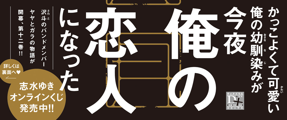 帯入れ込みイメージ