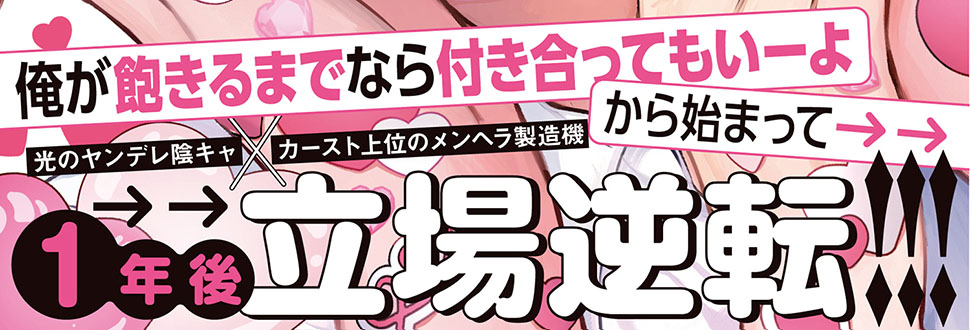 帯入れ込みイメージ