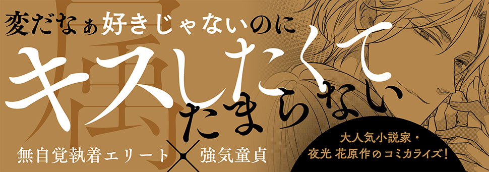 帯入れ込みイメージ