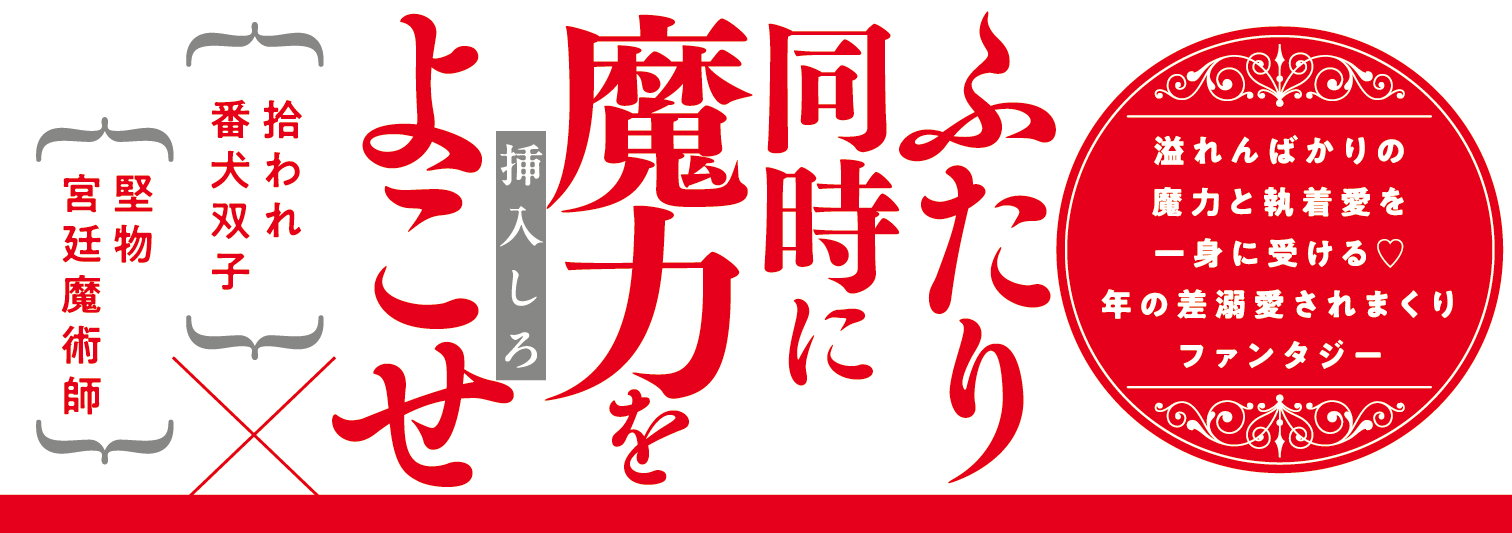 帯入れ込みイメージ