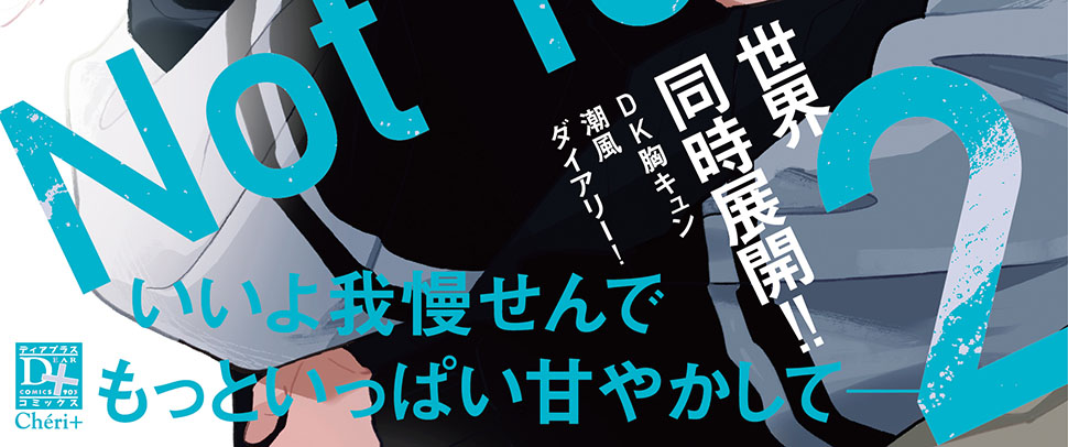 帯入れ込みイメージ