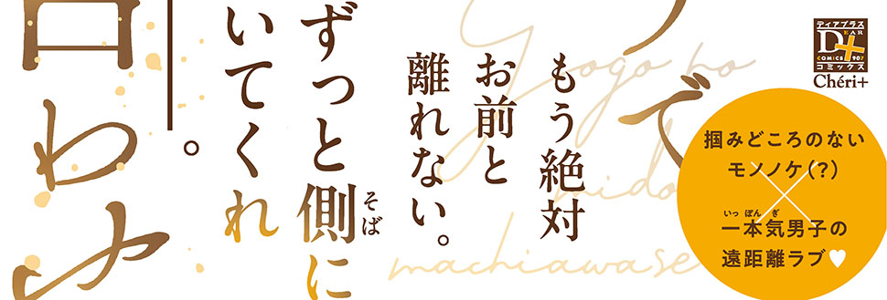 帯入れ込みイメージ