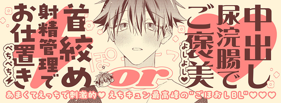 帯入れ込みイメージ