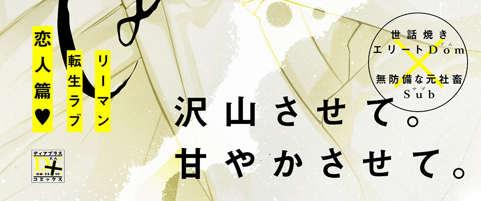 帯入れ込みイメージ