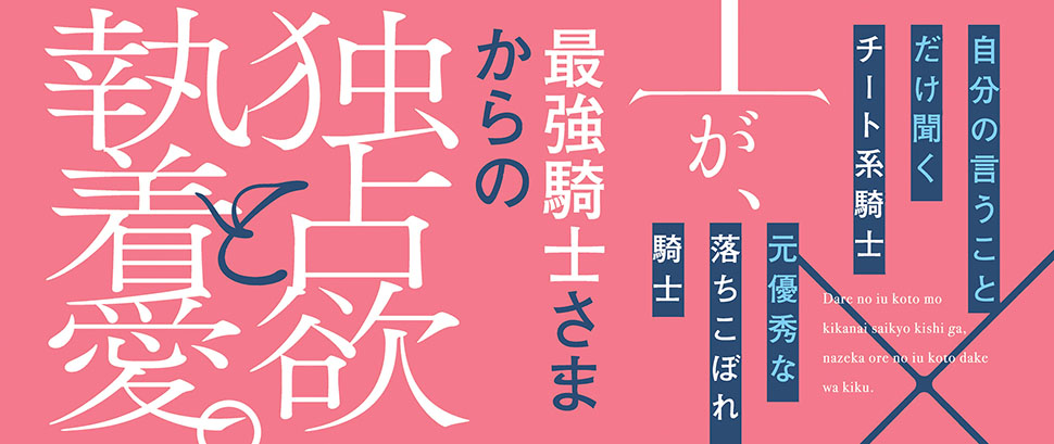 帯入れ込みイメージ