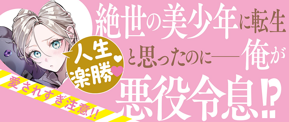 帯入れ込みイメージ