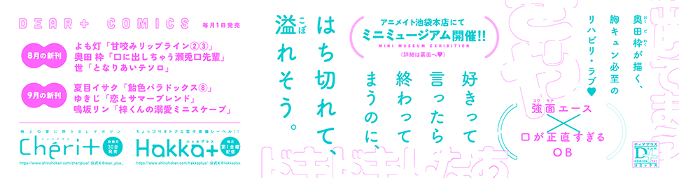 帯入れ込みイメージ