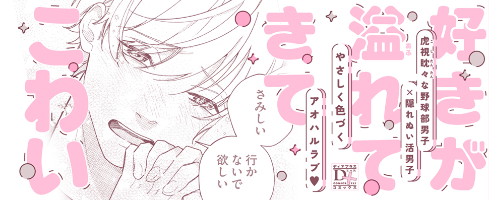 帯入れ込みイメージ