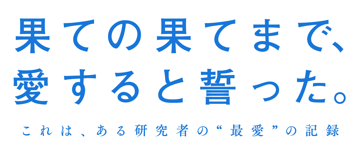 帯入れ込みイメージ