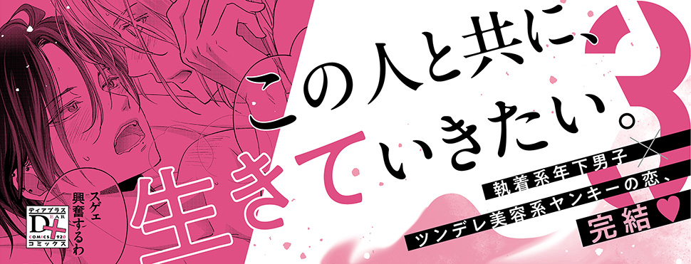 帯入れ込みイメージ