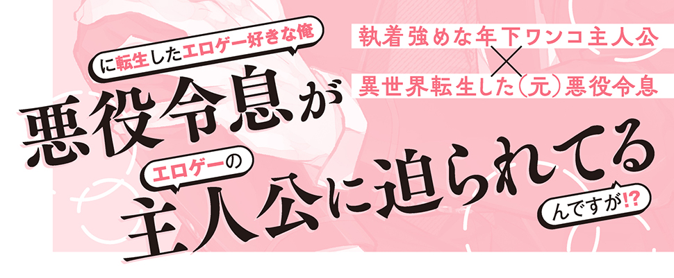 帯入れ込みイメージ
