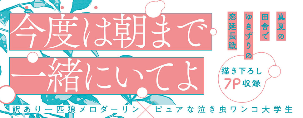 帯入れ込みイメージ