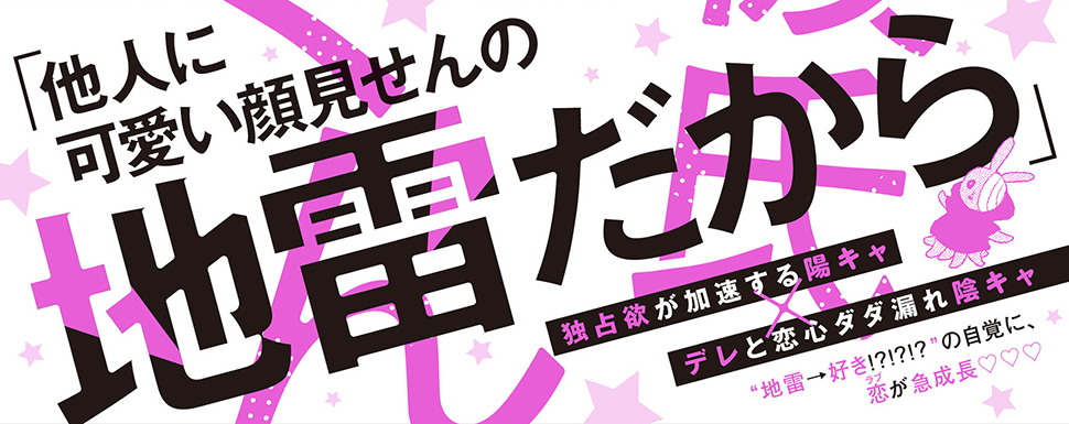 帯入れ込みイメージ