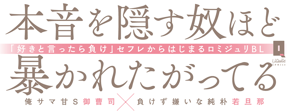 帯入れ込みイメージ