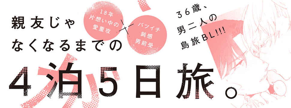 帯入れ込みイメージ